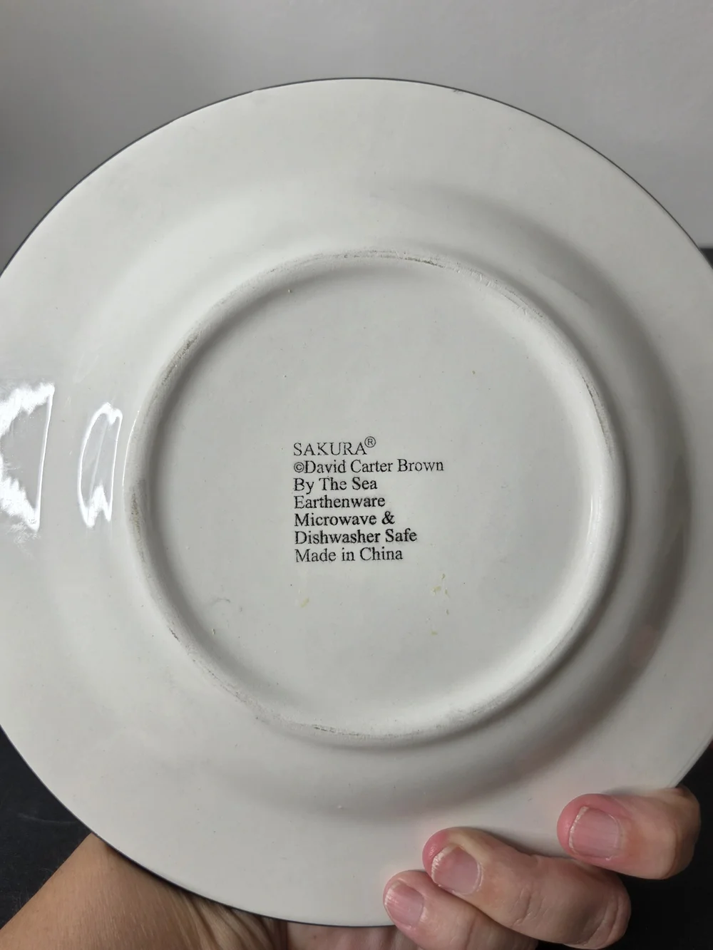 Sakura By The Sea Salad Plates Designed By David Carter Brown 8
